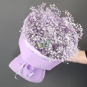 buket-gipsofila-sirenevaya-1